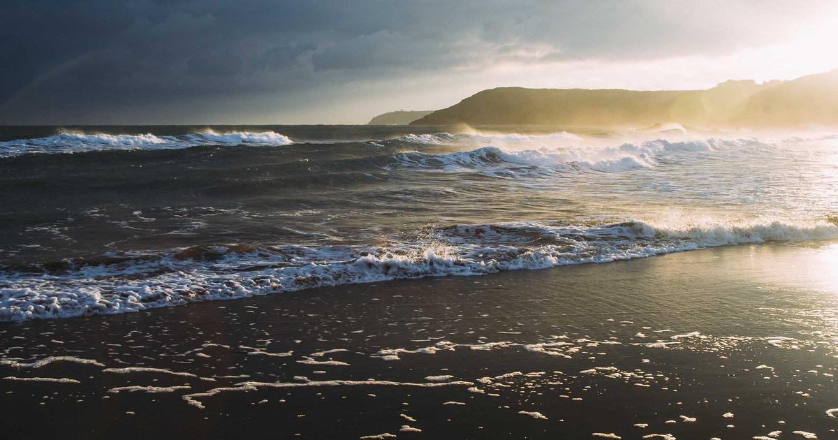 2026年の日本動向