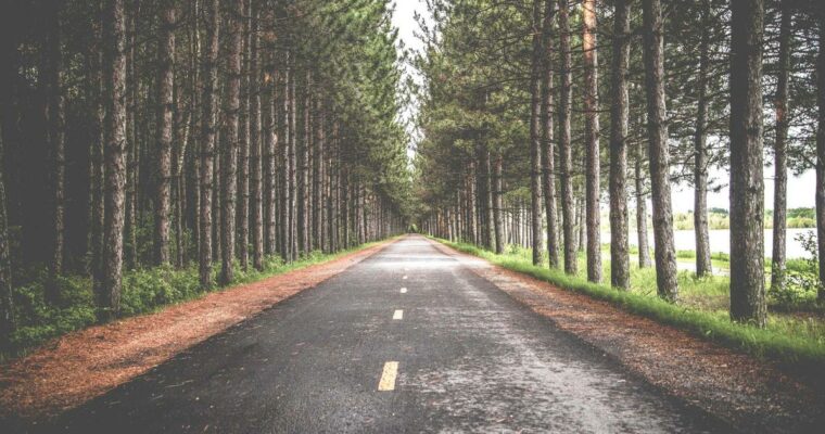 宇宙から見た地球 2026年ビジョン