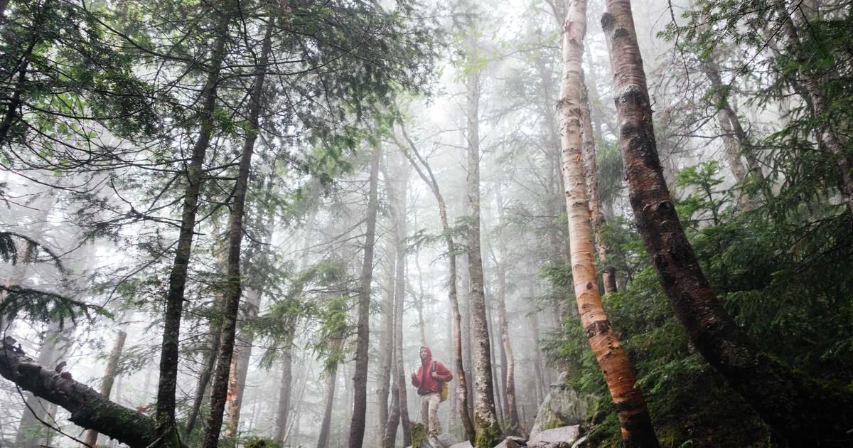 末社のカエル様 金運